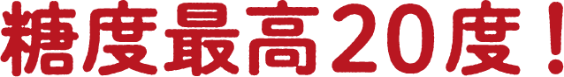 糖度最高20度!