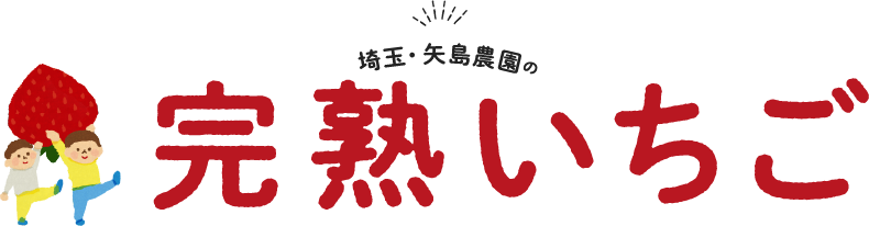 埼玉・矢島農園の完熟いちご